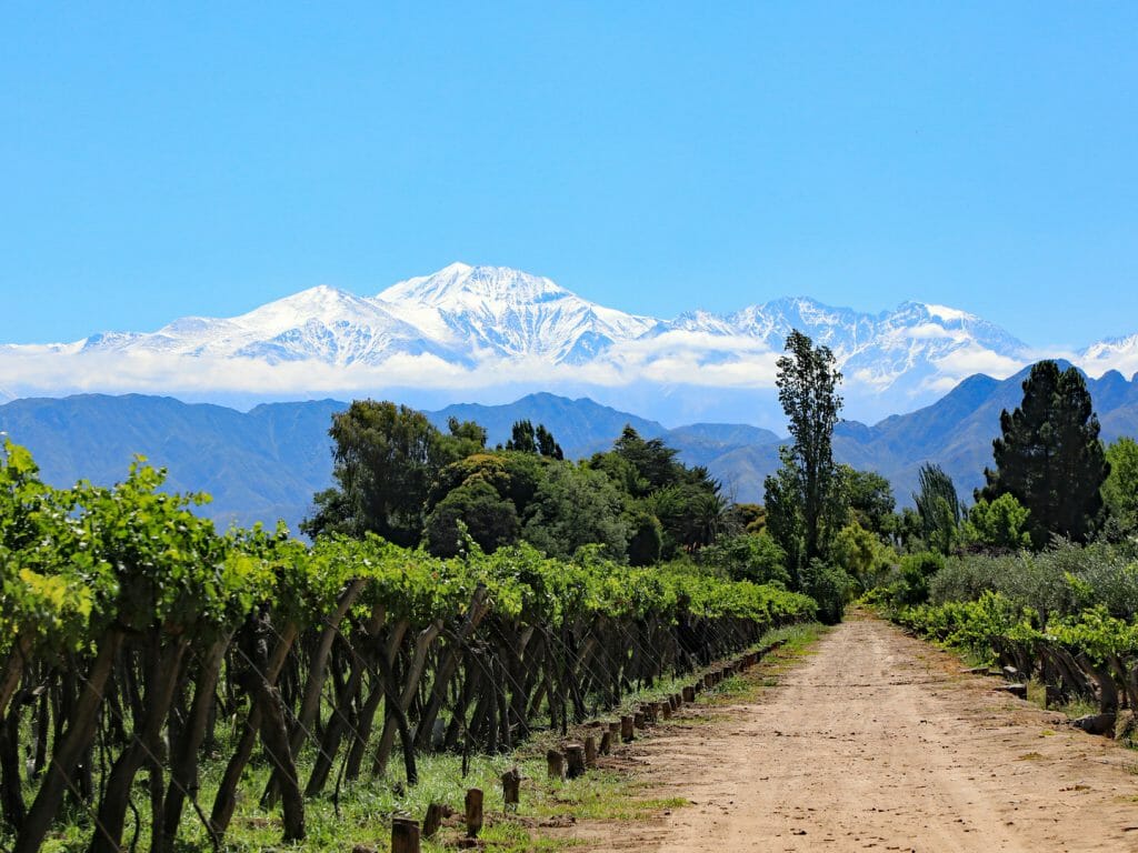 Mendoza